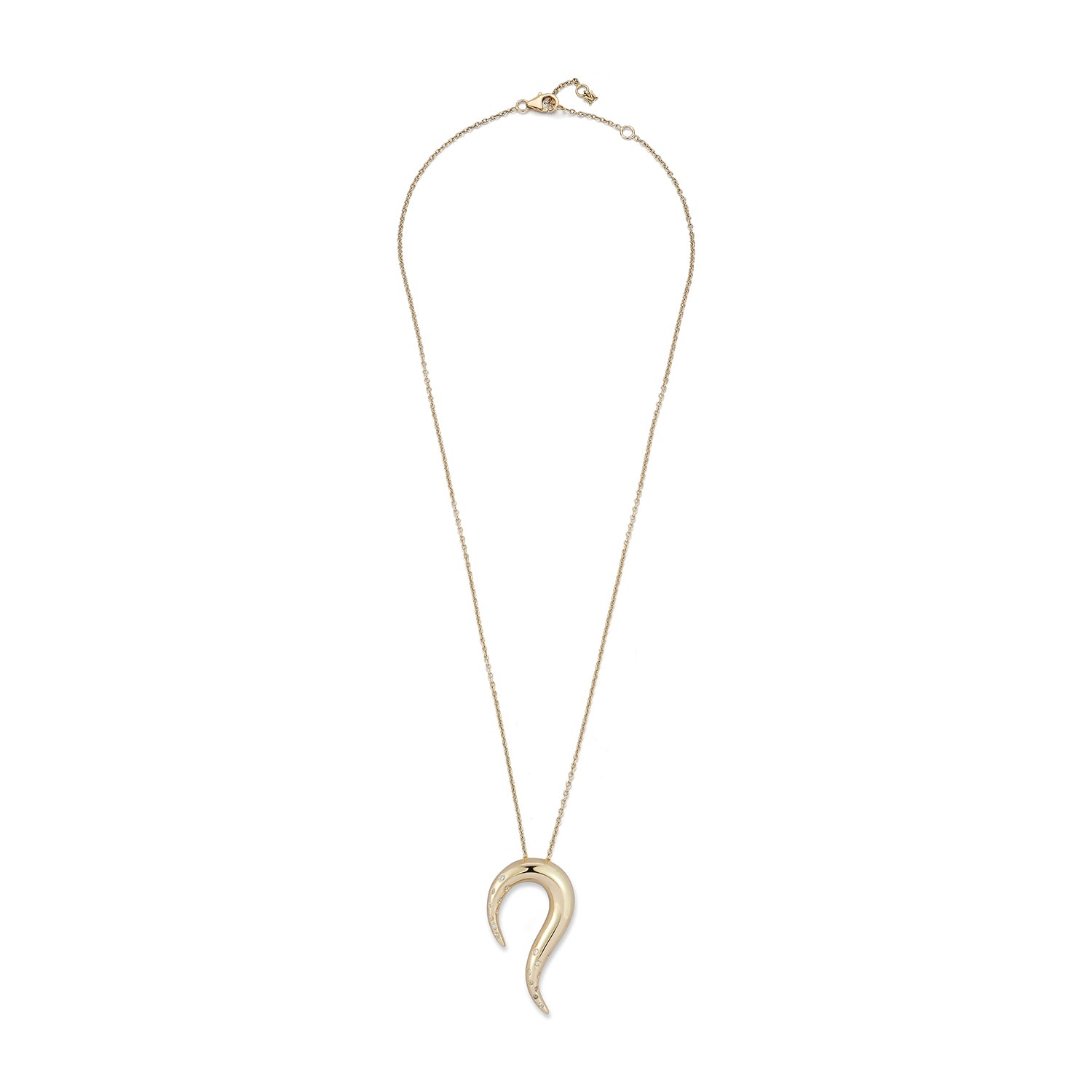 14kt Swoosh Necklace — фото 4