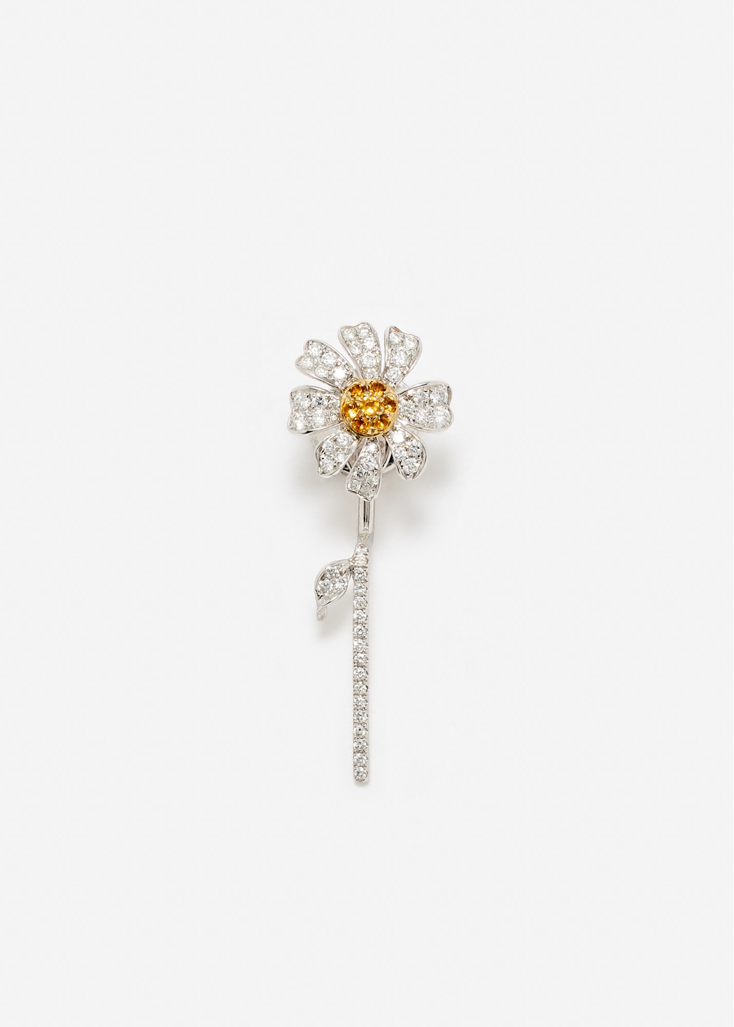 PUCE & DESSOUS MARGUERITE OR BLANC