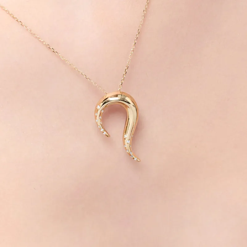 14kt Swoosh Necklace